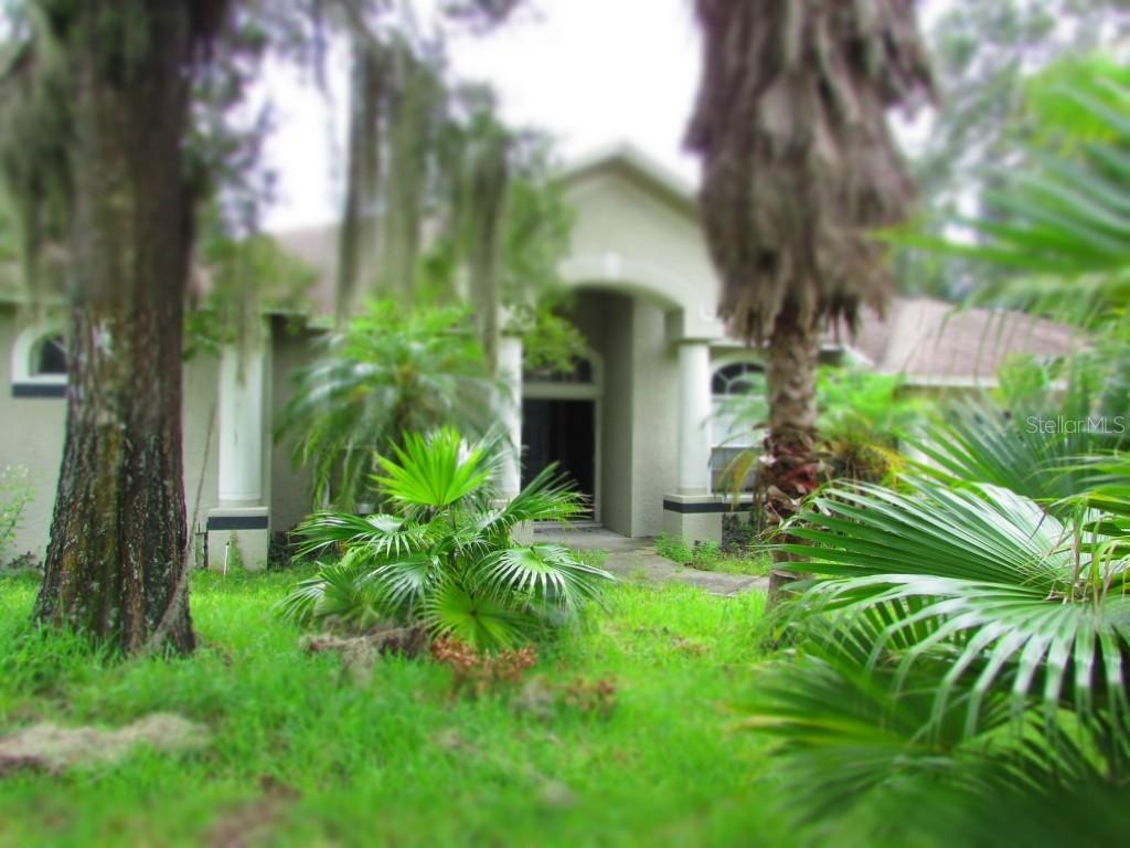 123 Myrtle Ridge Rd., Lutz, FL 33549