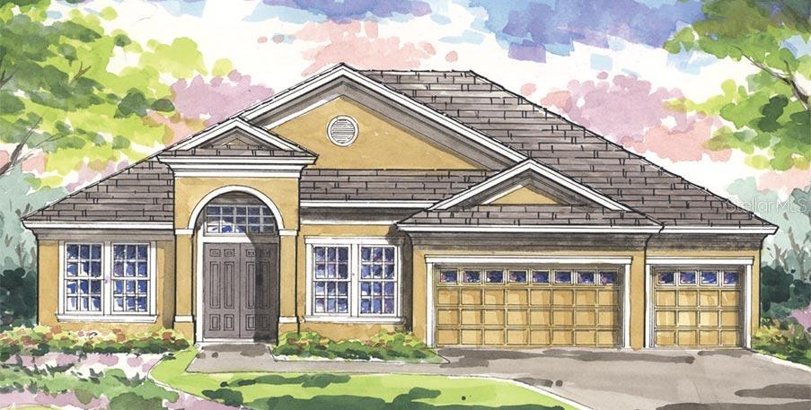 32861 Natural Bridge Rd., Wesley Chapel, FL 33543