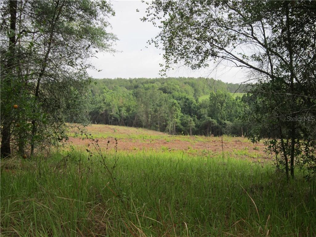 [Address Hidden by Seller], Dade City, FL 33525