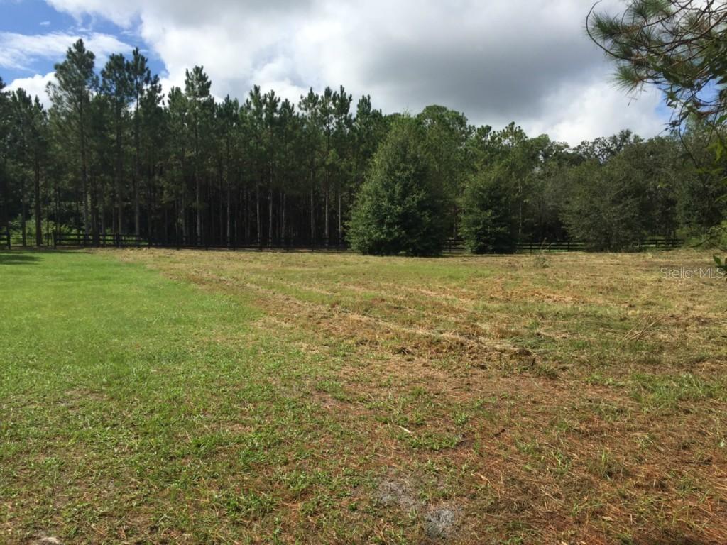 2417 Montana Pines Ct., Lutz, FL 33549