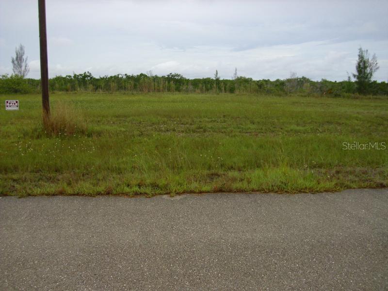 2729 NW 46th Ave., Cape Coral, FL 33993