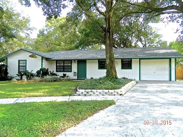 17703 Morninghigh Dr., Lutz, FL 33549