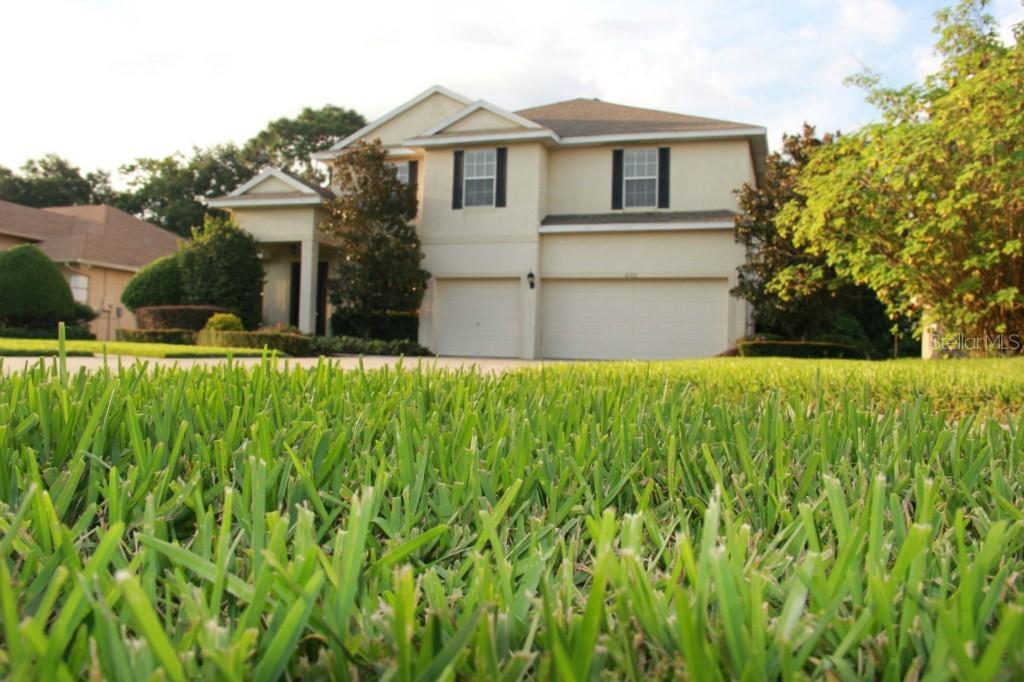 21351 Marsh Hawk Dr., Land O Lakes, FL 34638