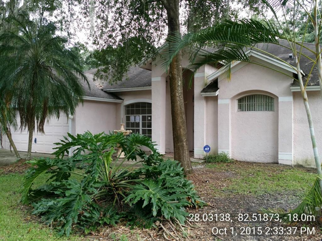 4423 Hidden Shadow Dr., Tampa, FL 33614