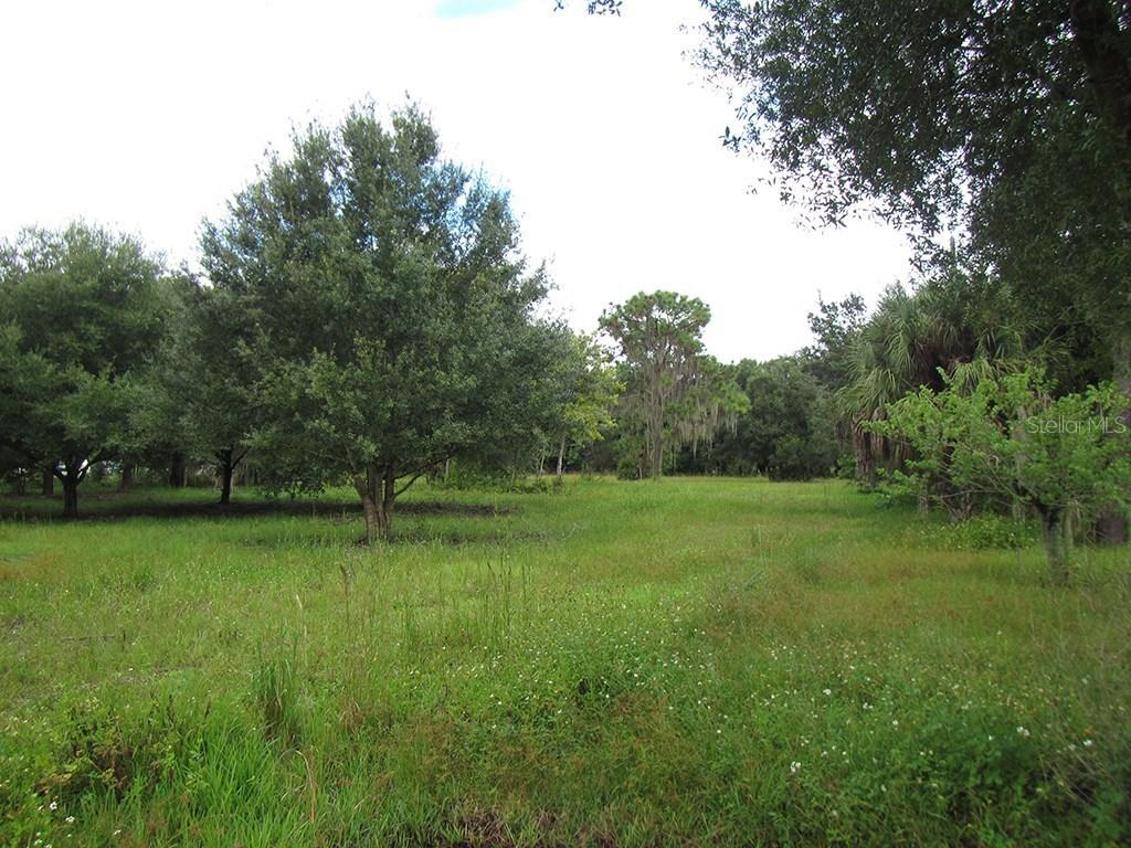 4502 N Wilder Rd., Plant City, FL 33565