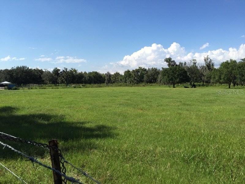 6623 Simmons Loop, Riverview, FL 33578