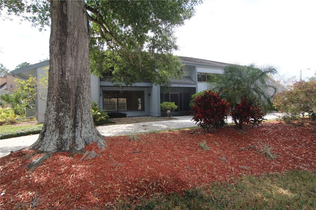 4127 Carrollwood Village Dr., Tampa, FL 33618