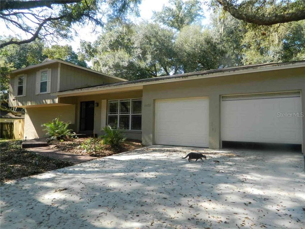 6611 Glencoe Dr., Temple Terrace, FL 33617