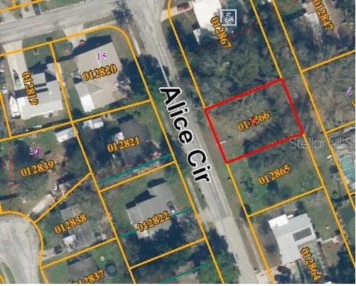 Alice Cir., Lutz, FL 33558