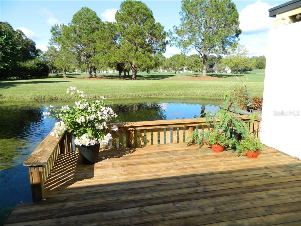 13514 Palmwood Ln., Tampa, FL 33618