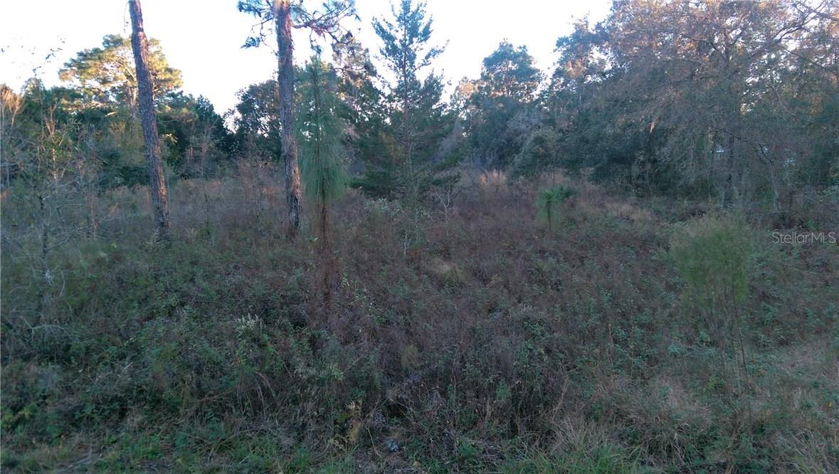 Oakcrest Cir., Brooksville, FL 34604