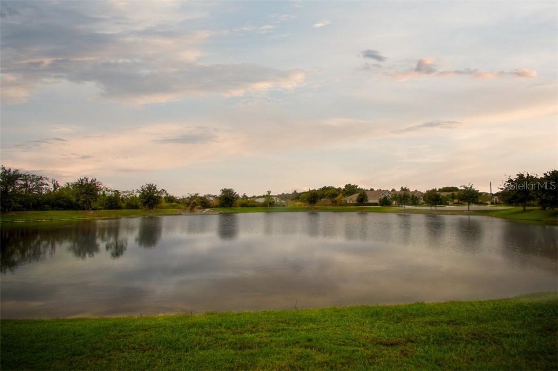 34138 Spring Oak Tr., Wesley Chapel, FL 33545