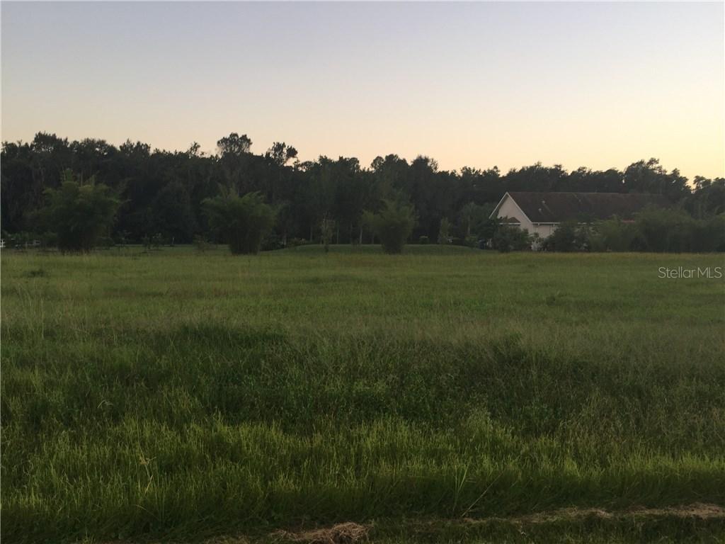 3007 Country Breeze Dr., Plant City, FL 33567