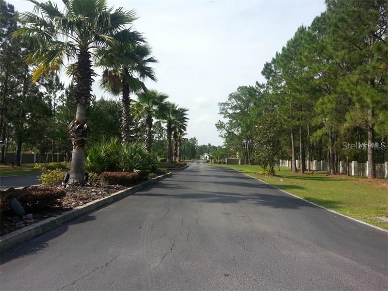 8726 Woodleaf Blvd., Wesley Chapel, FL 33544