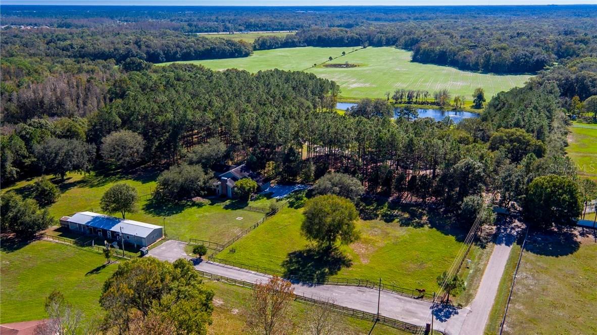 4126 Hay Rd., Lutz, FL 33559