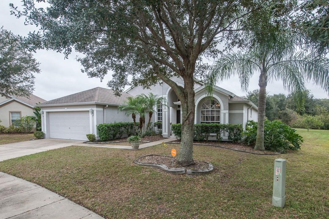 1126 English Bluffs Ct., Brandon, FL 33511