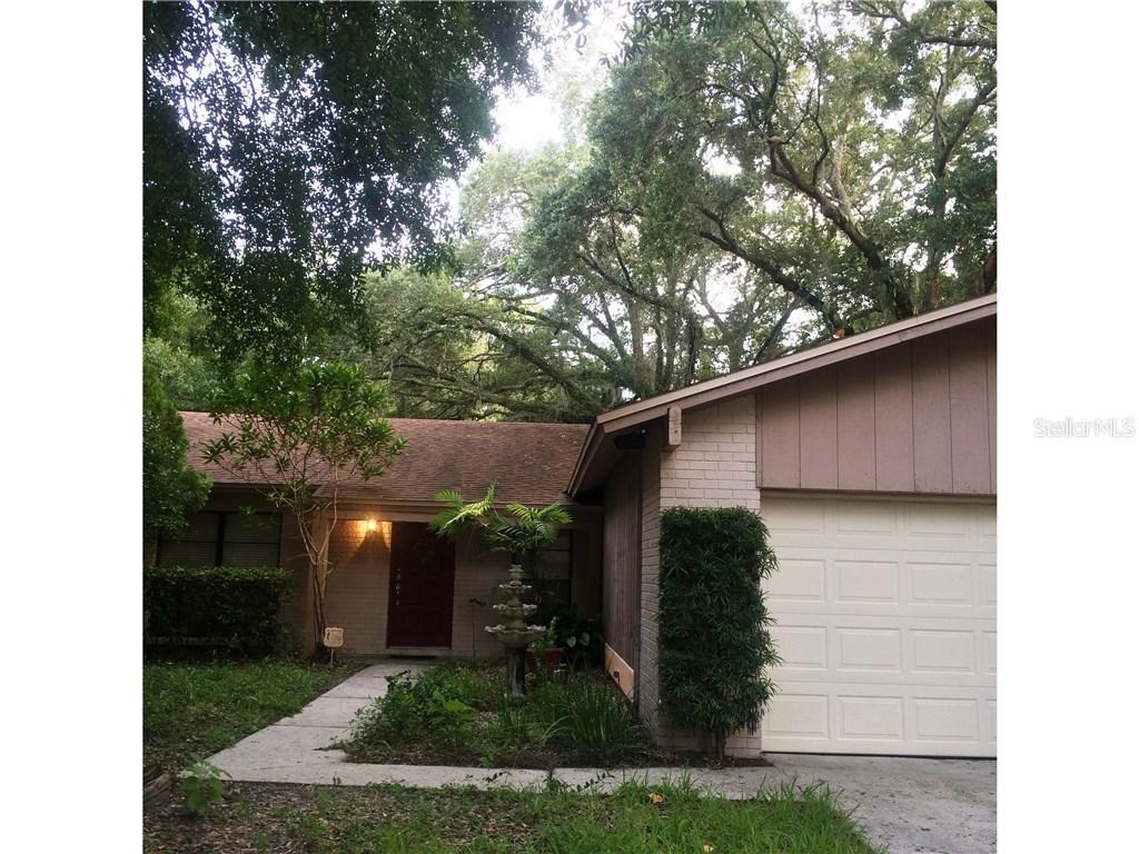 14708 Oak Vine Dr., Lutz, FL 33559