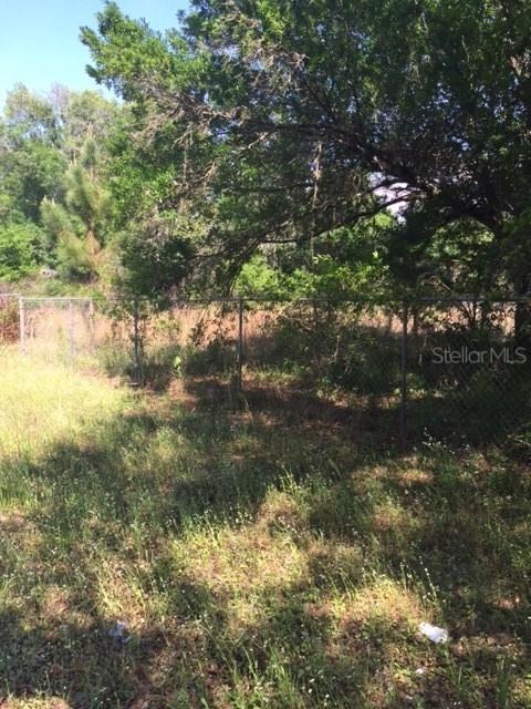 7454 Tallowtree Dr., Wesley Chapel, FL 33544