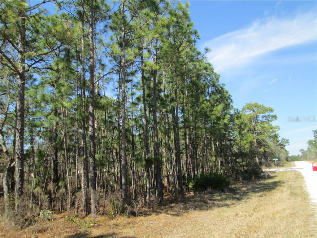 00 Mottled Owl Rd. #7, Brooksville, FL 34614