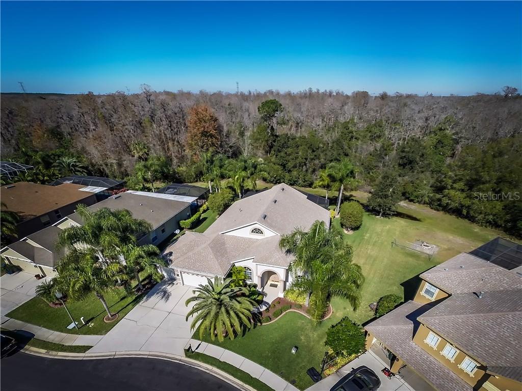 7841 Lachlan Dr., Trinity, FL 34655