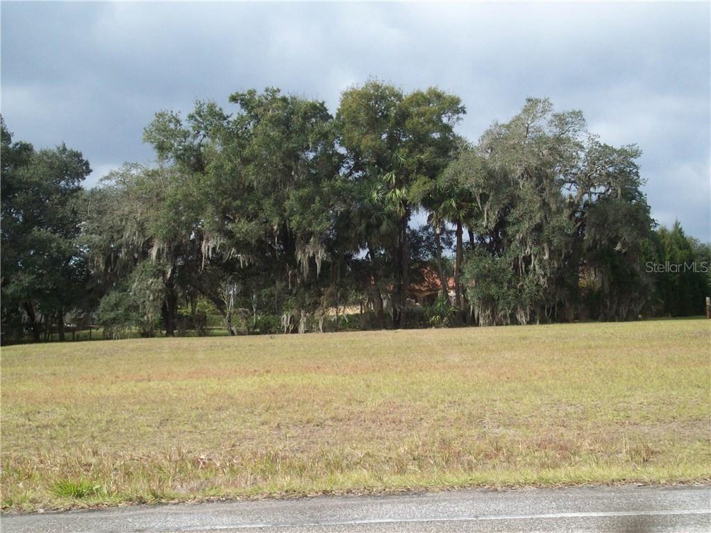 3313 Chase Jackson Branch, Lutz, FL 33559