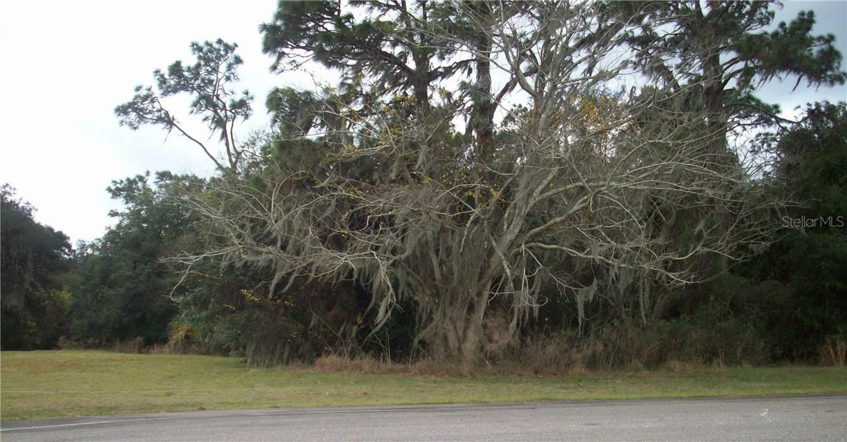 2624 Tylers River Run, Lutz, FL 33559