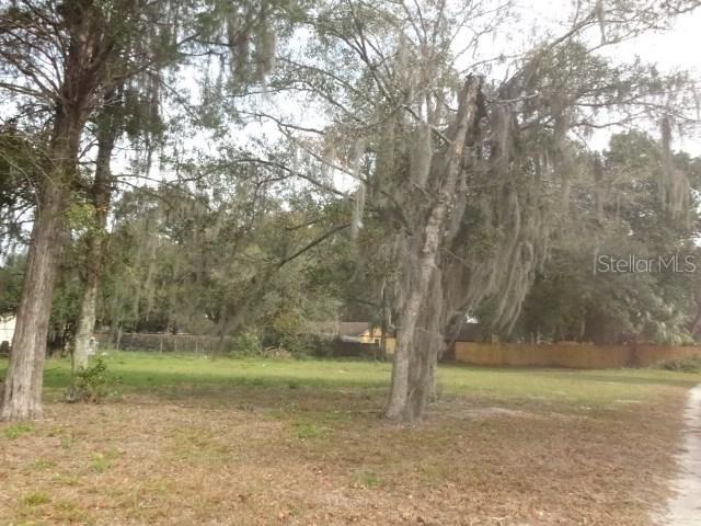 1704 N Barnes St., Plant City, FL 33563