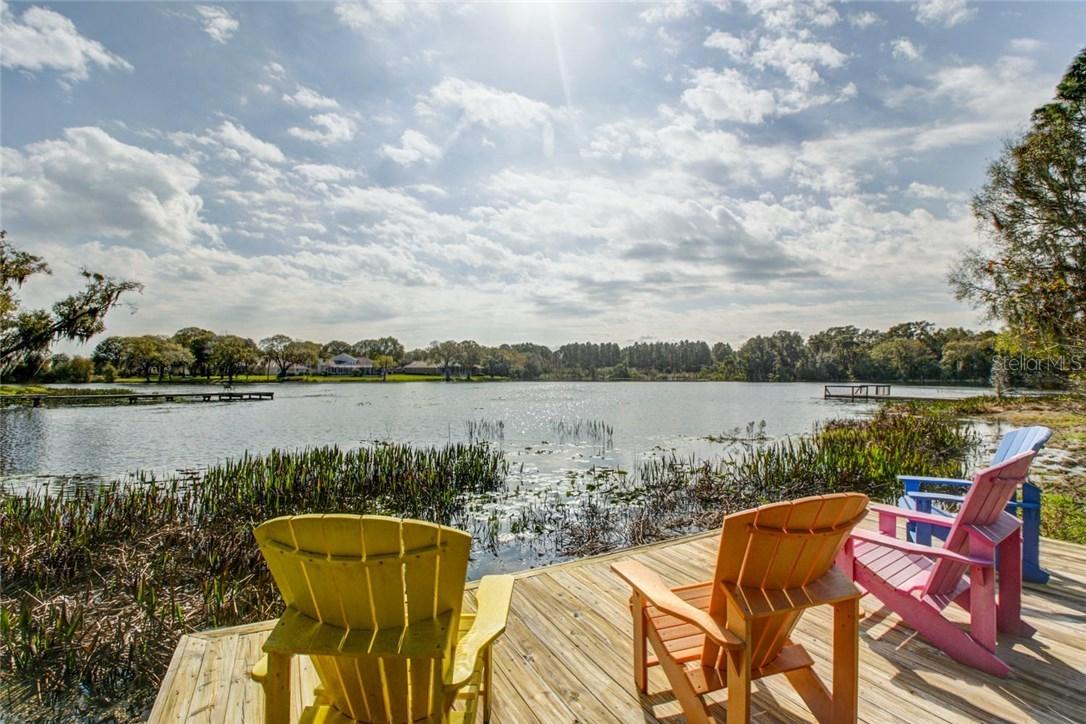 1121 Oxbridge Dr., Lutz, FL 33549