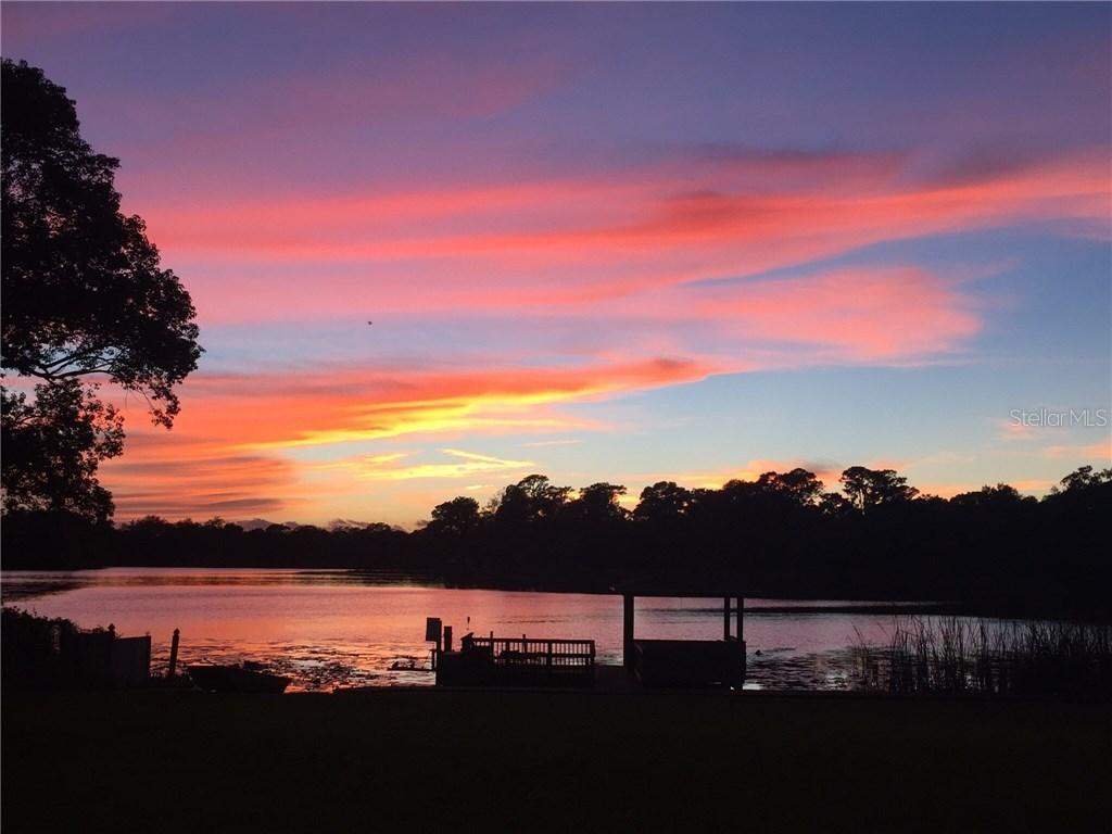 10206 N Armenia Ave., Tampa, FL 33612