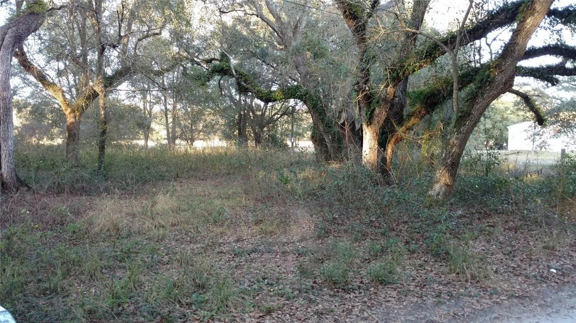 18223 Boonesfarm Dr., Spring Hill, FL 34610