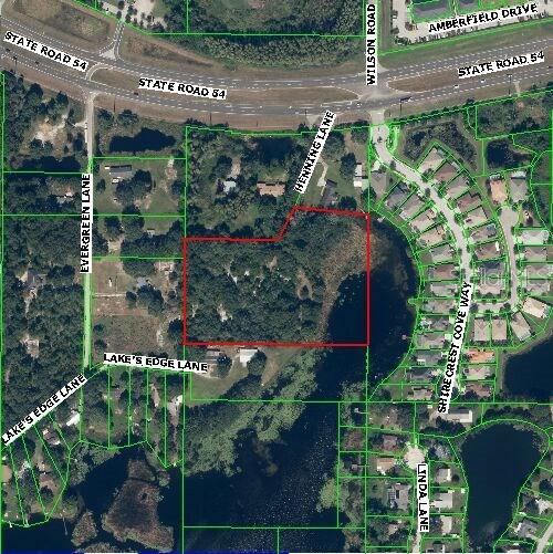 2338 Henning Ln., Lutz, FL 33558