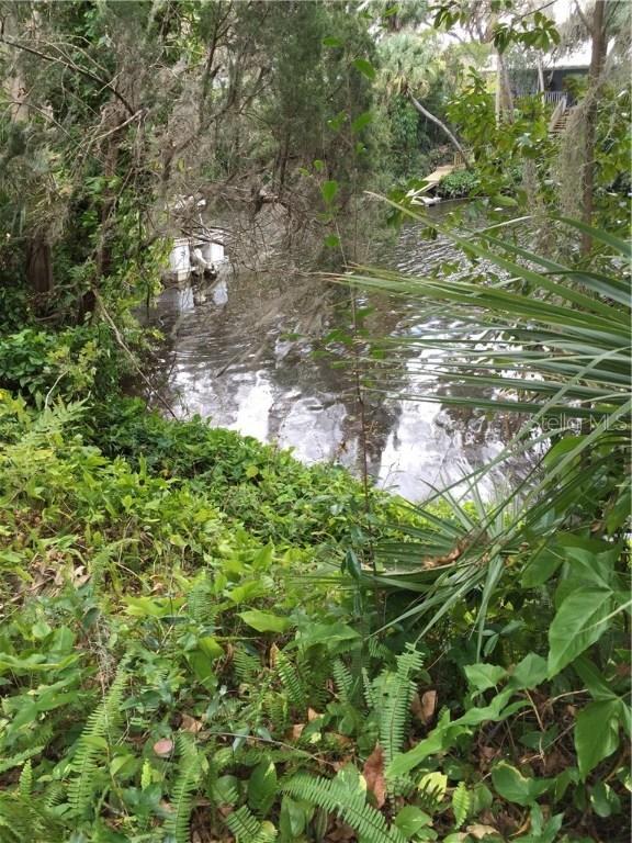 4226 Alafia Blvd., Brandon, FL 33511