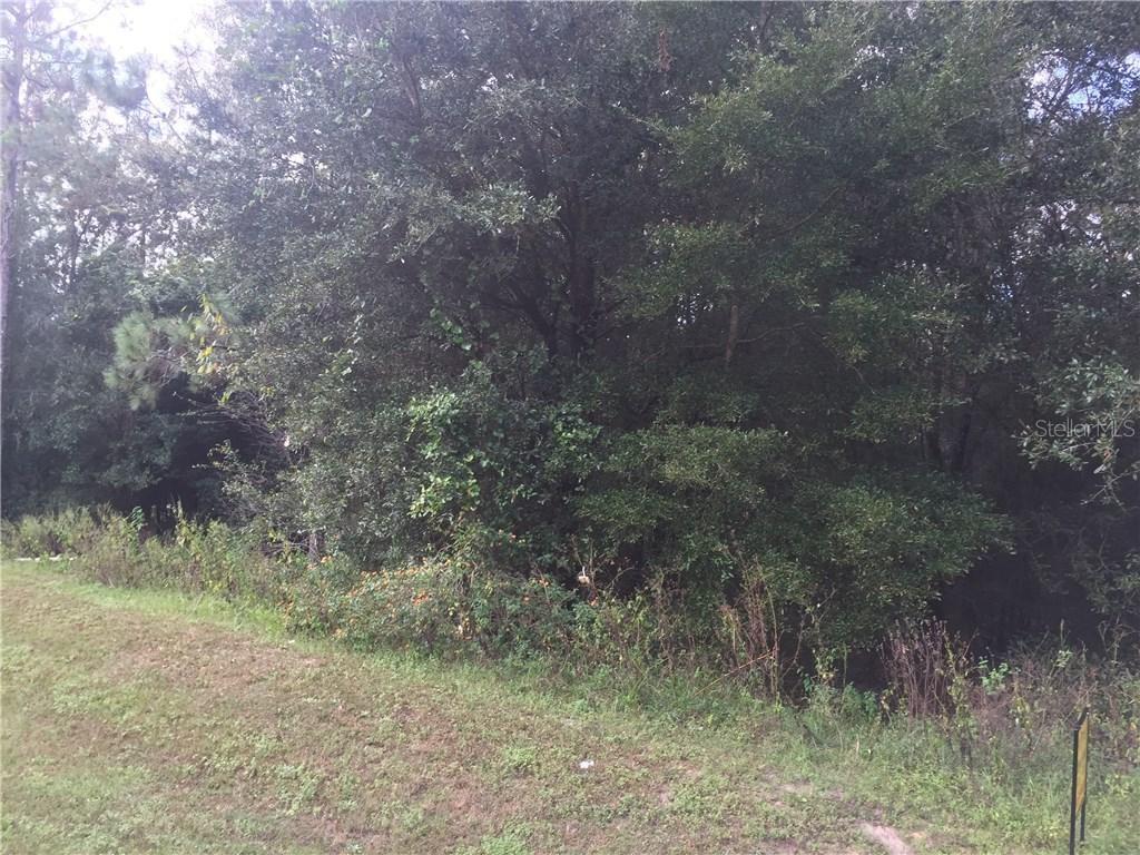 707 Savannah Oaks Dr., Brooksville, FL 34602