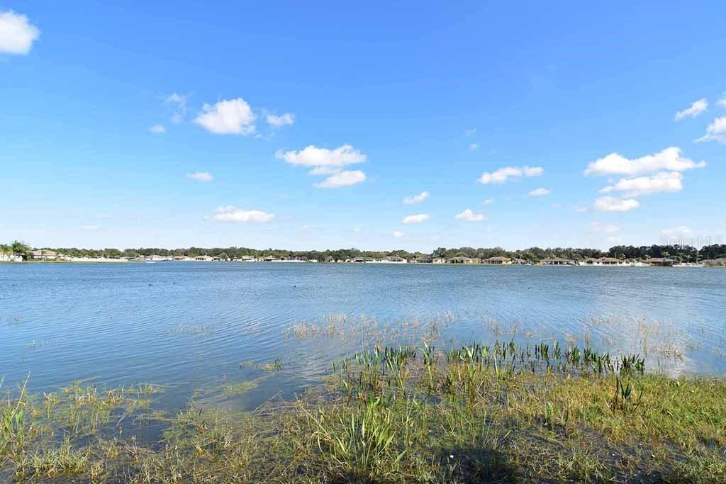 6451 Clair Shore Dr., Apollo Beach, FL 33572