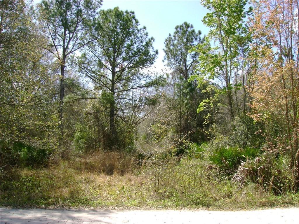 Betts Rd., Zephyrhills, FL 33543
