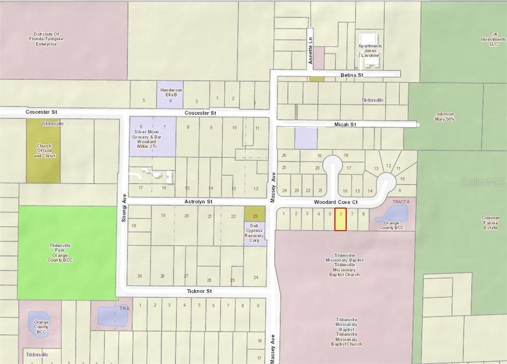 14732 Woodard Cove Ct., Winter Garden, FL 34787