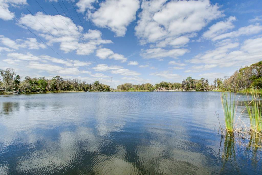 17208 Orangewood Dr., Lutz, FL 33548