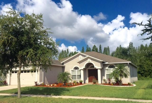 2415 Nesslewood Dr., Wesley Chapel, FL 33543