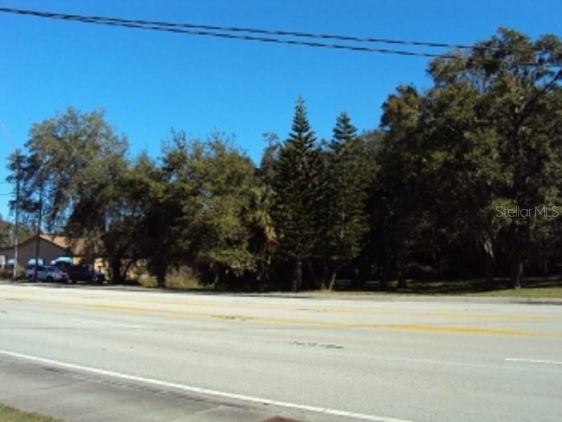 16203 N Florida Ave., Lutz, FL 33549