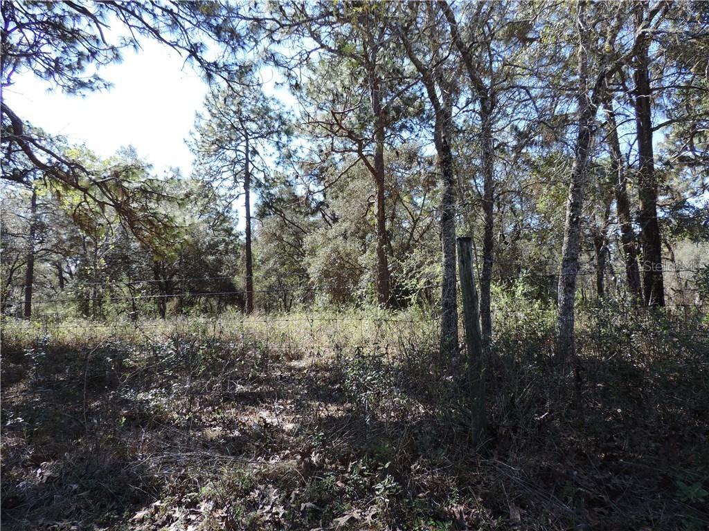 14340 Sandy Dr., Brooksville, FL 34613