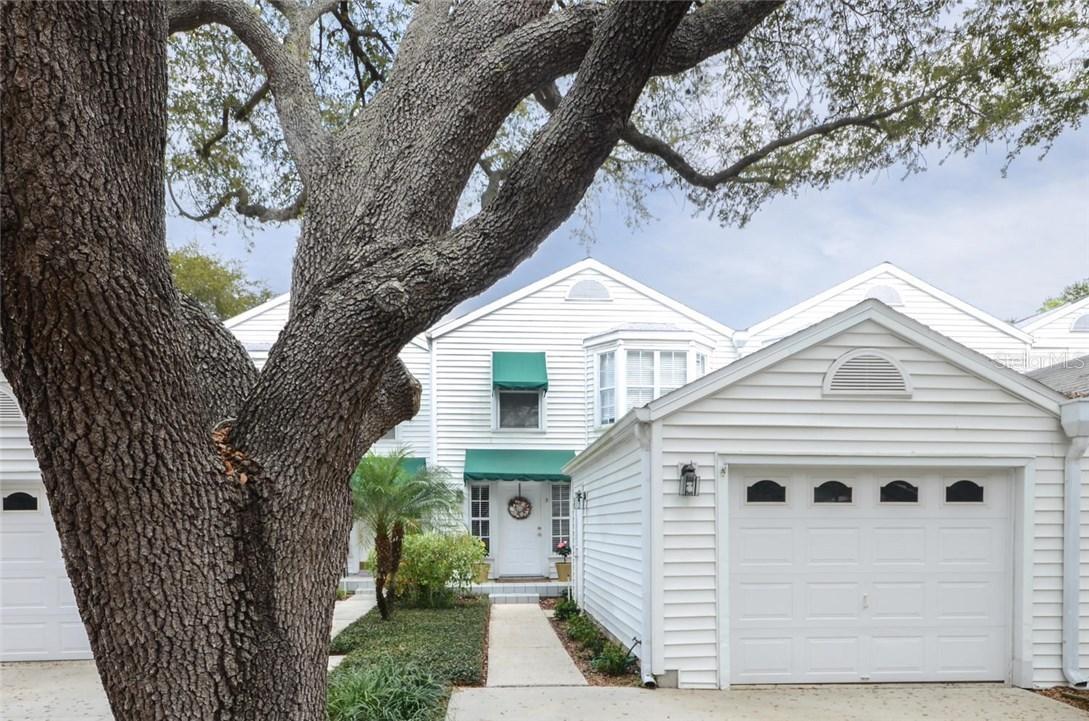 5300 Bayshore Blvd. #C3, Tampa, FL 33611