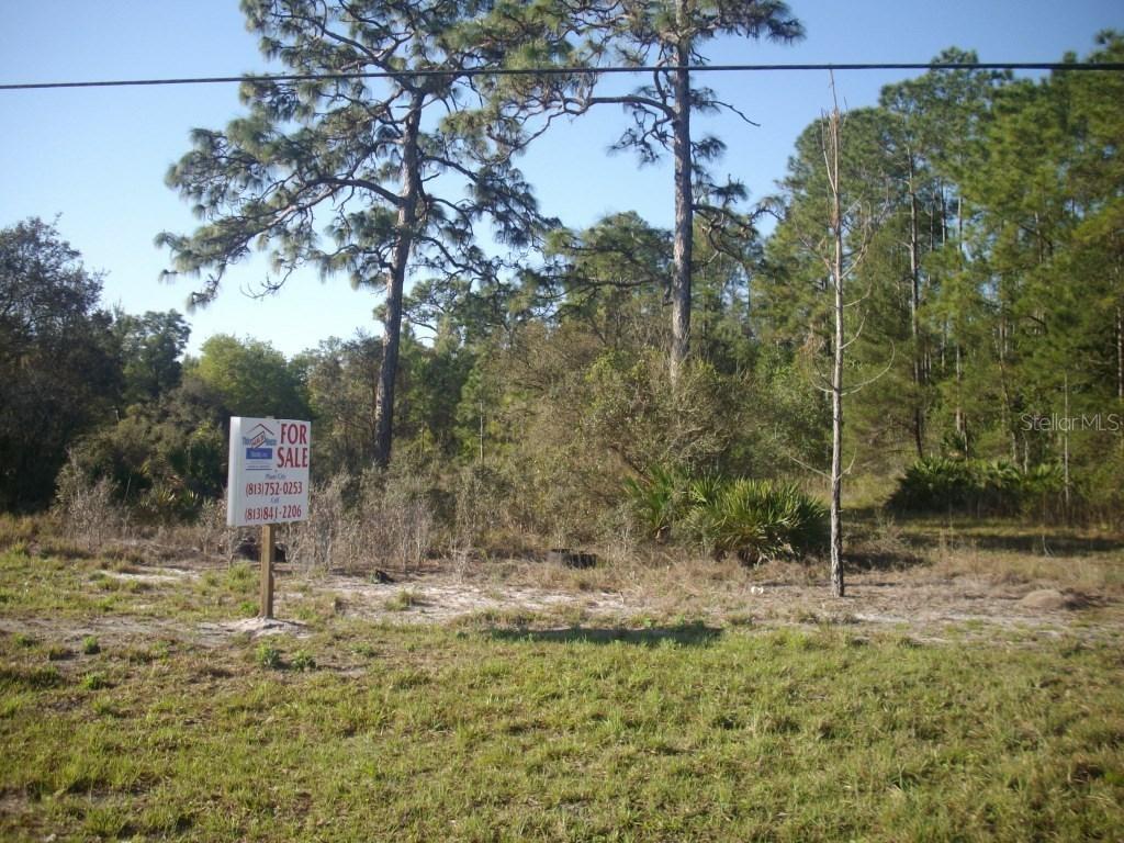 7140 Osceola Polk Line Rd., Davenport, FL 33896