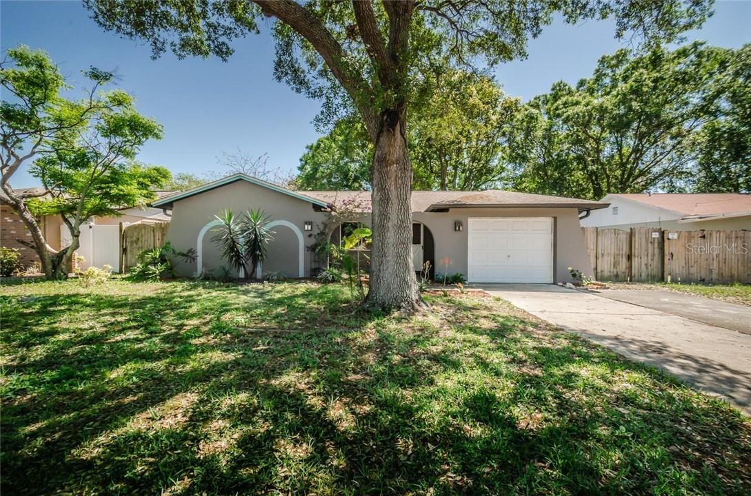 155 Coral Dr., Safety Harbor, FL 34695