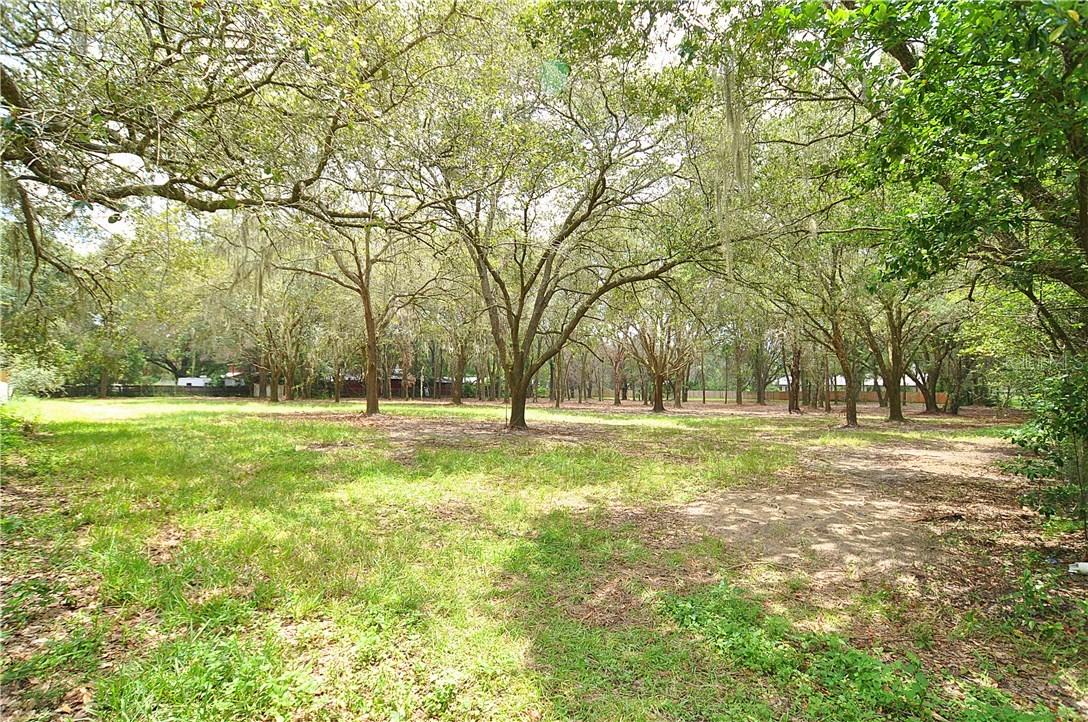 Livingston Ave., Lutz, FL 33559