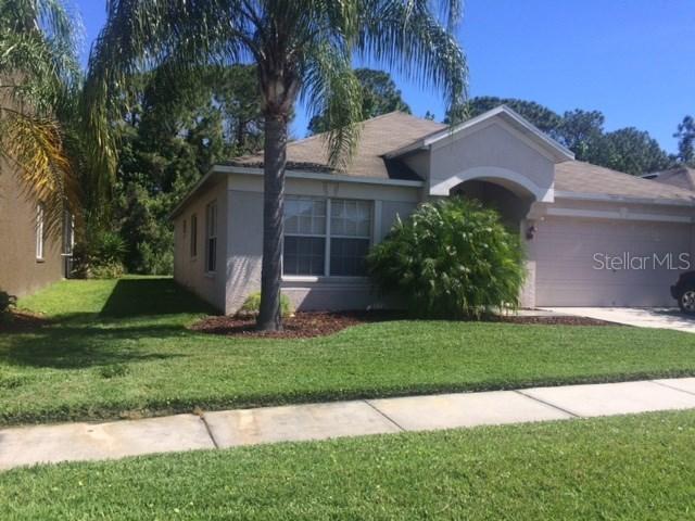 27754 Breakers Dr., Wesley Chapel, FL 33544