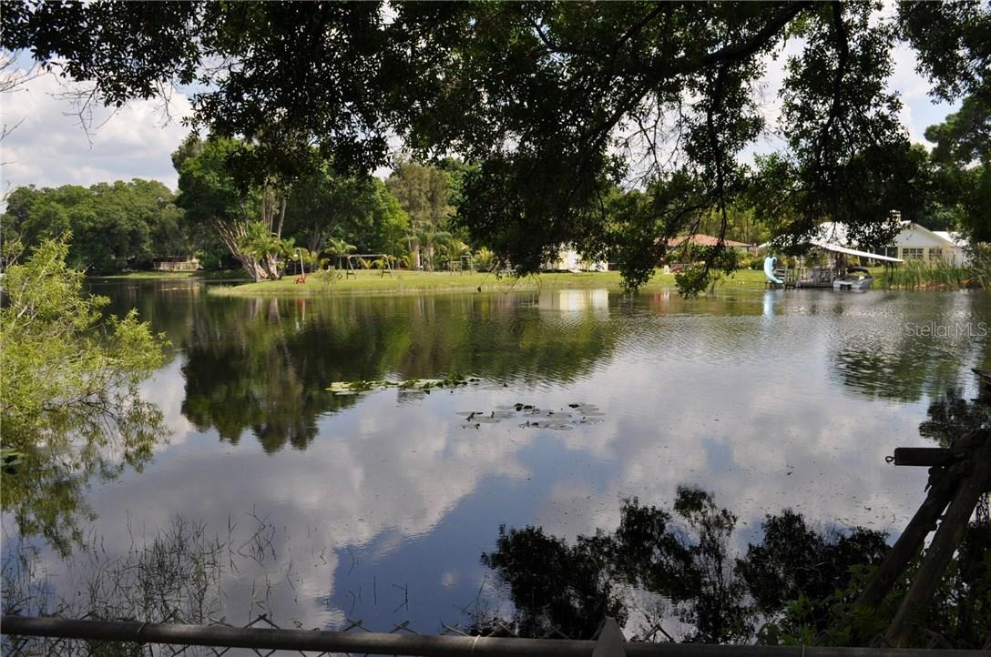 1334 Eckles Dr., Tampa, FL 33612