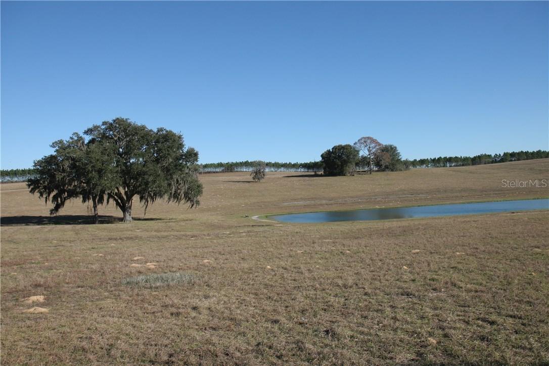 1654 E Ridgeline Path, Inverness, FL 34453