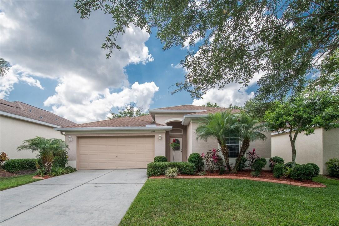 1153 Emerald Hill Way, Valrico, FL 33594