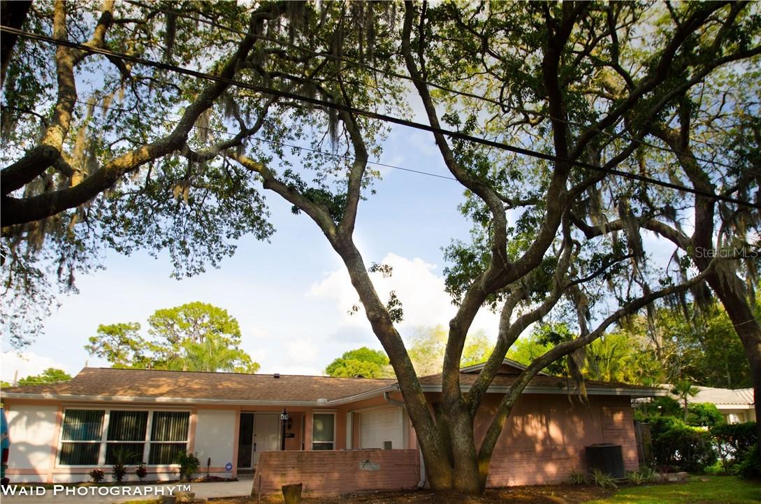 12611 N 52nd St., Temple Terrace, FL 33617