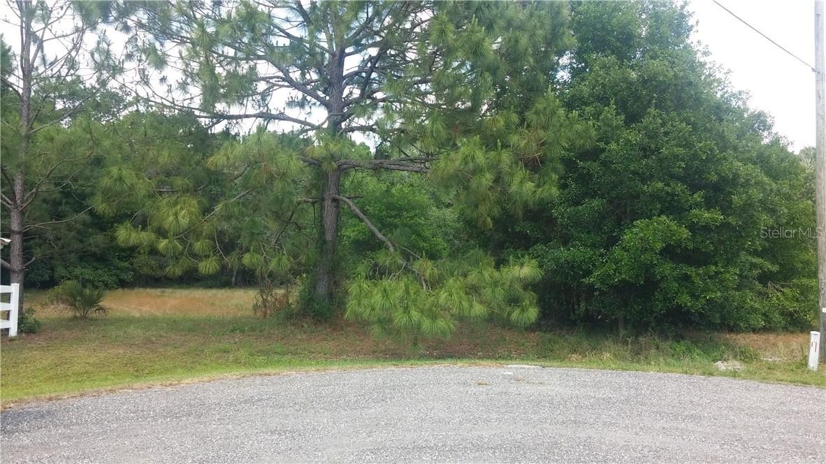 401 Indian Meadow Ct., Wimauma, FL 33598